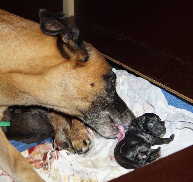 Die Geburt der kleinen F